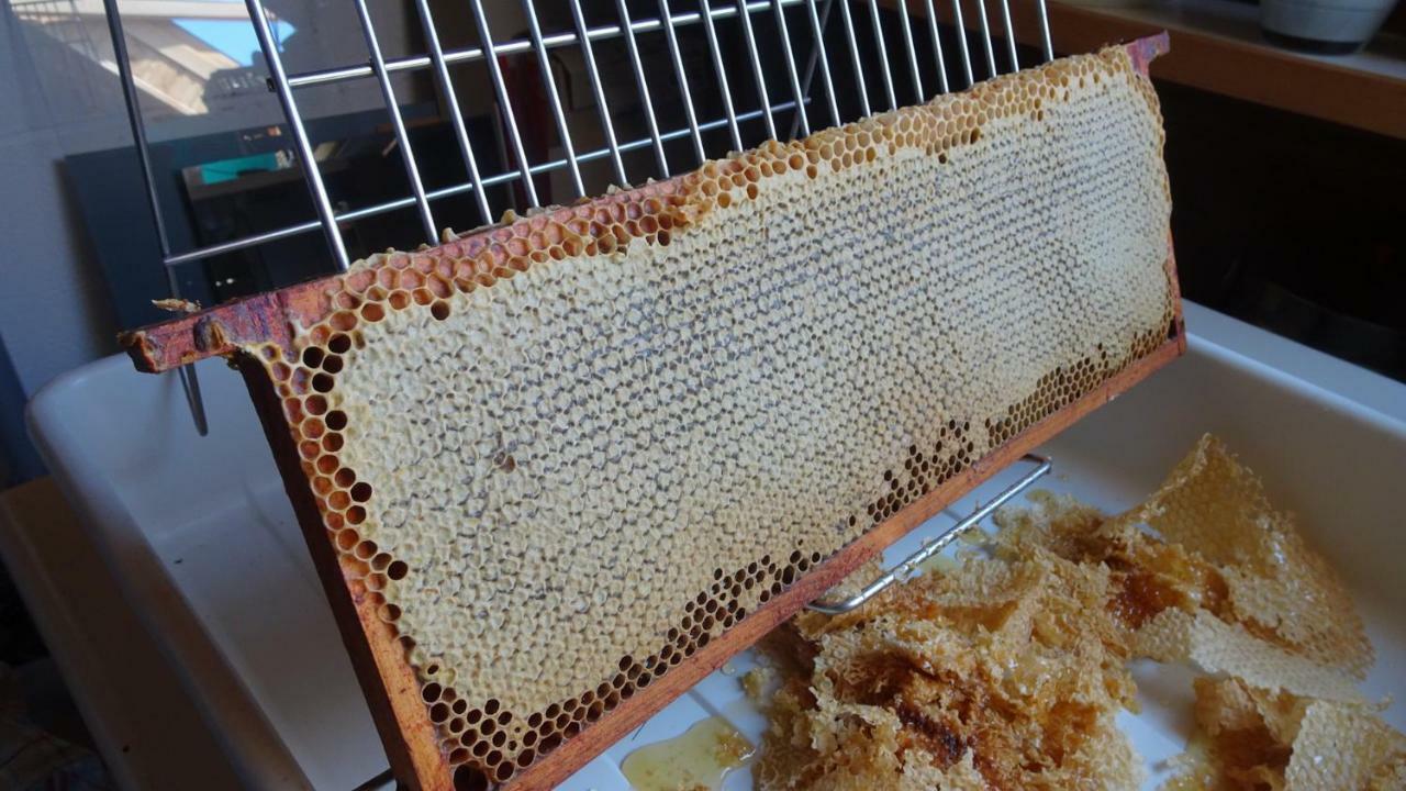 La Miellerie Pensionat Huppaye Eksteriør billede